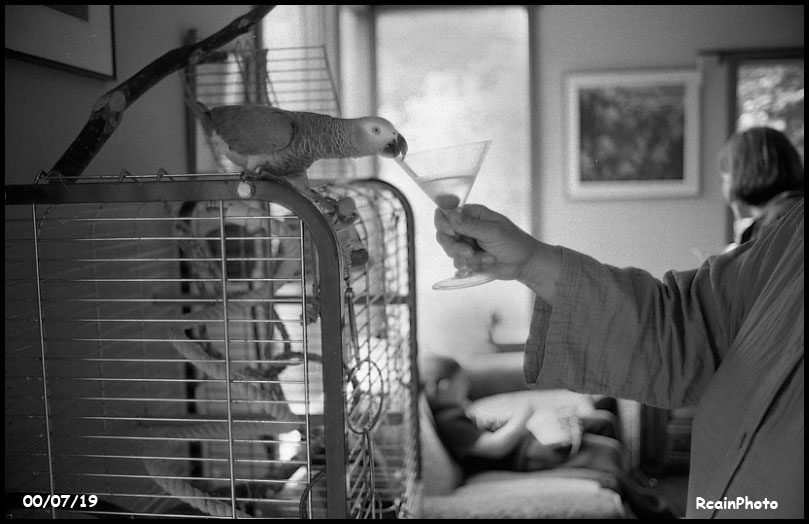 000719-marlowe-birthday-party-kathi-and-parrot